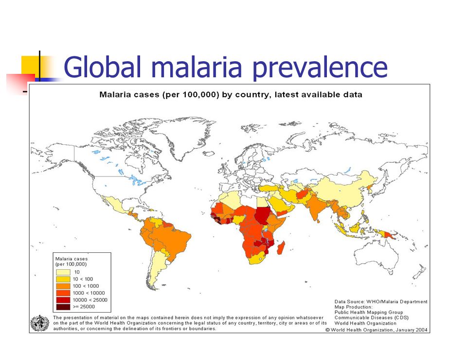 The prevalence and fight of malaria disease globally